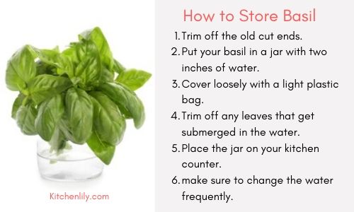 How to store basil and keep it fresh for long