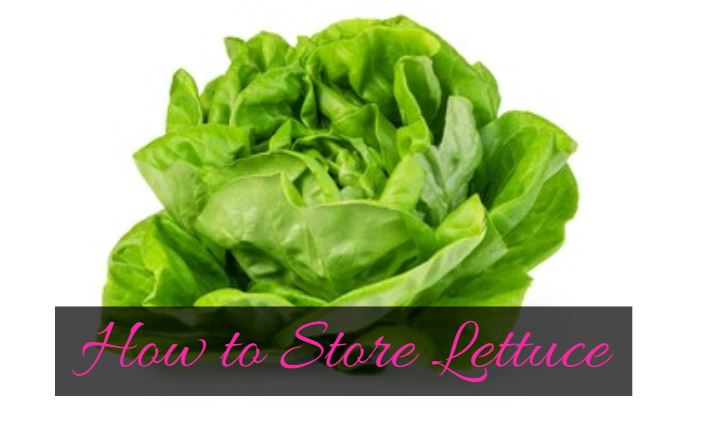 storing lettuce