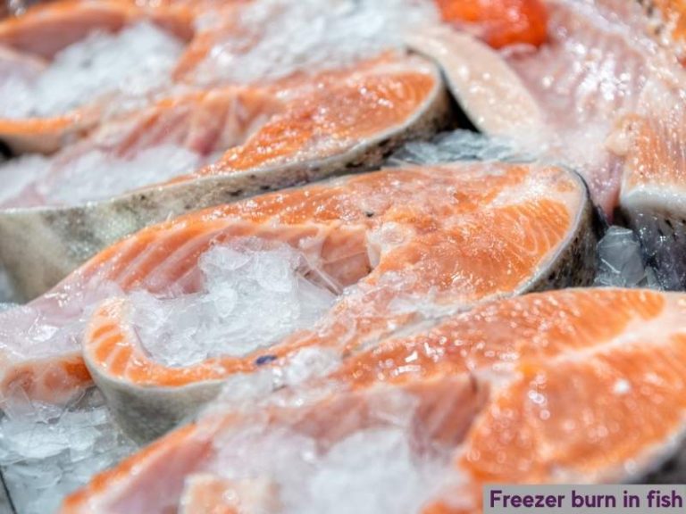 freezer-burned-fish-is-it-safe-to-eat-how-to-fix-and-cook-kitchen-lily