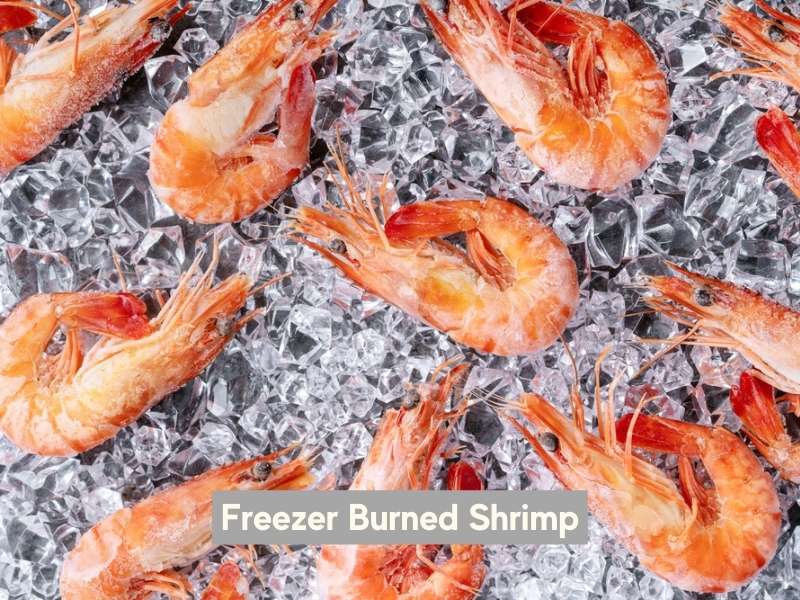 Freezer-burned shrimp